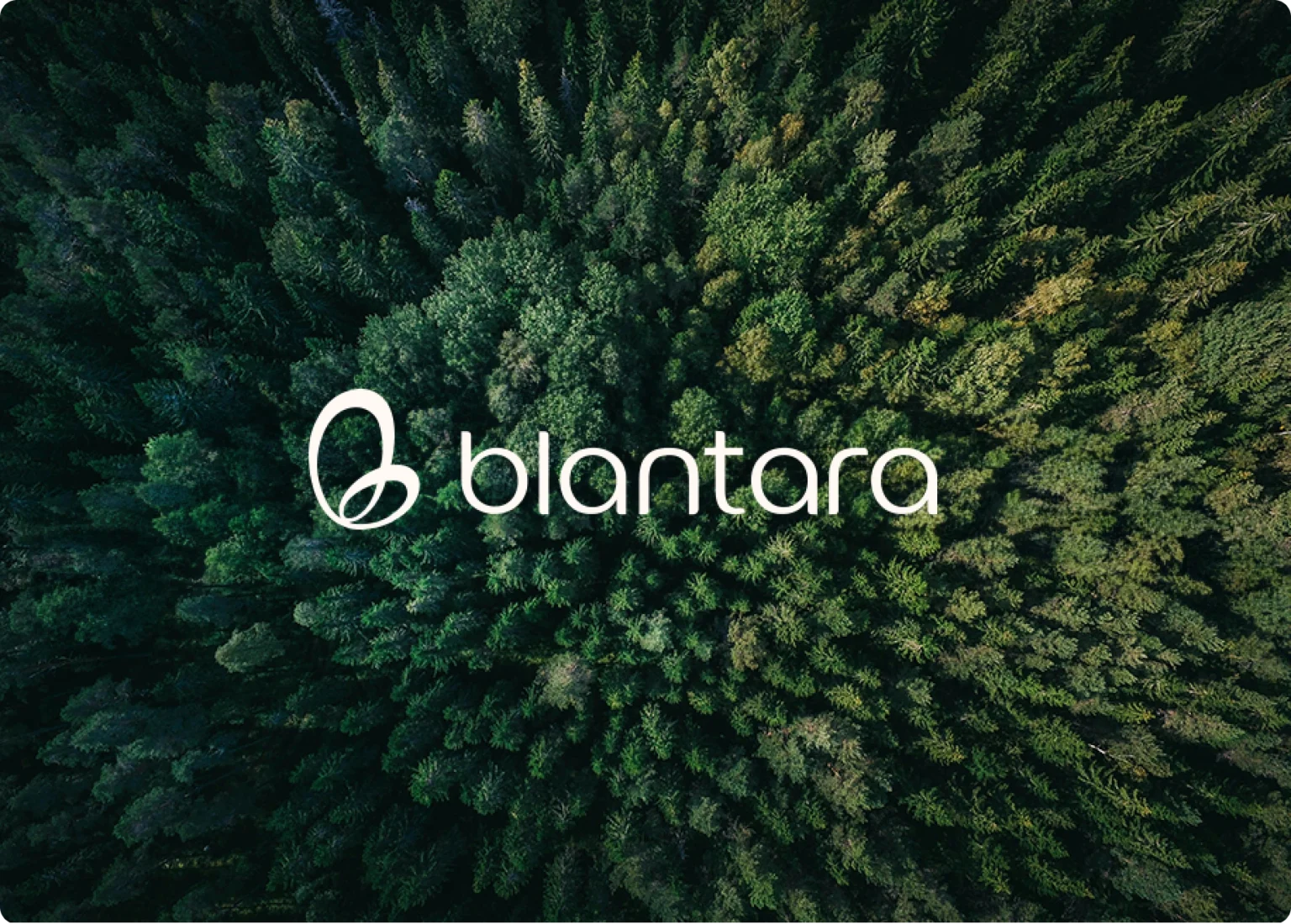 Blantara Portfolio